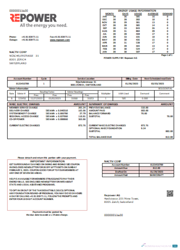 Download Repower AG utility business bill SCR Photoshop template